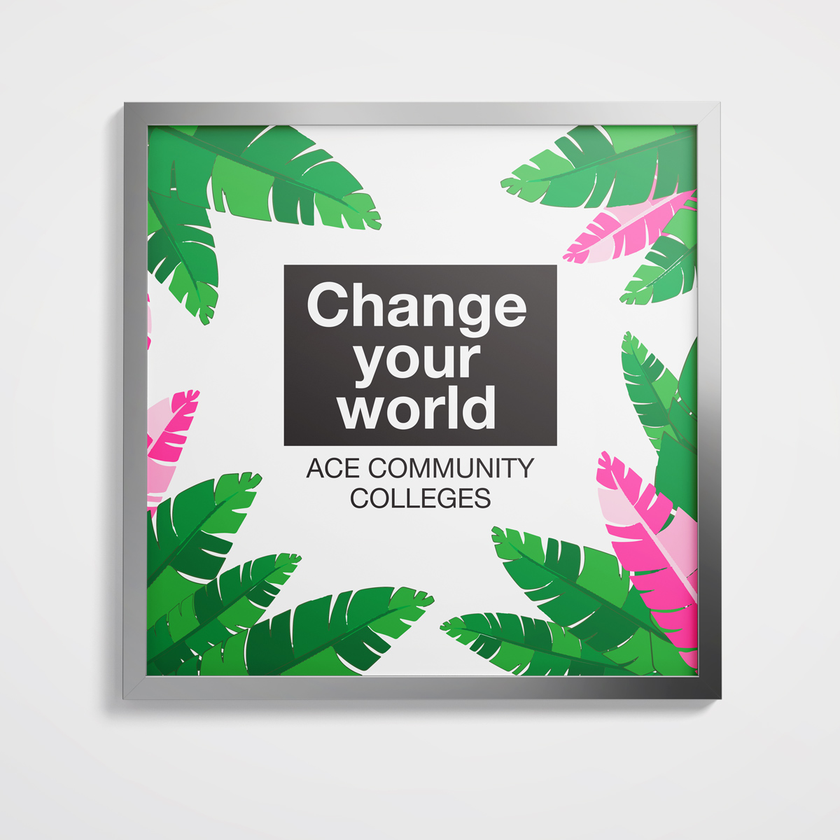 Ace Colleges poster in frame